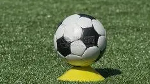 兔子先生足球宝贝第三集：近期黄金价格剧变之谜